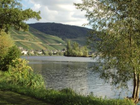 Gastehaus Sabine Hotel Zell Eksteriør billede